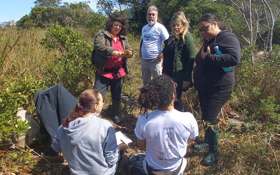 Oficinas capacitam comunidade para restauração de manguezais e restingas