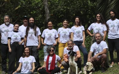 Grande Florianópolis ganha projeto para a conservação dos manguezais e restingas