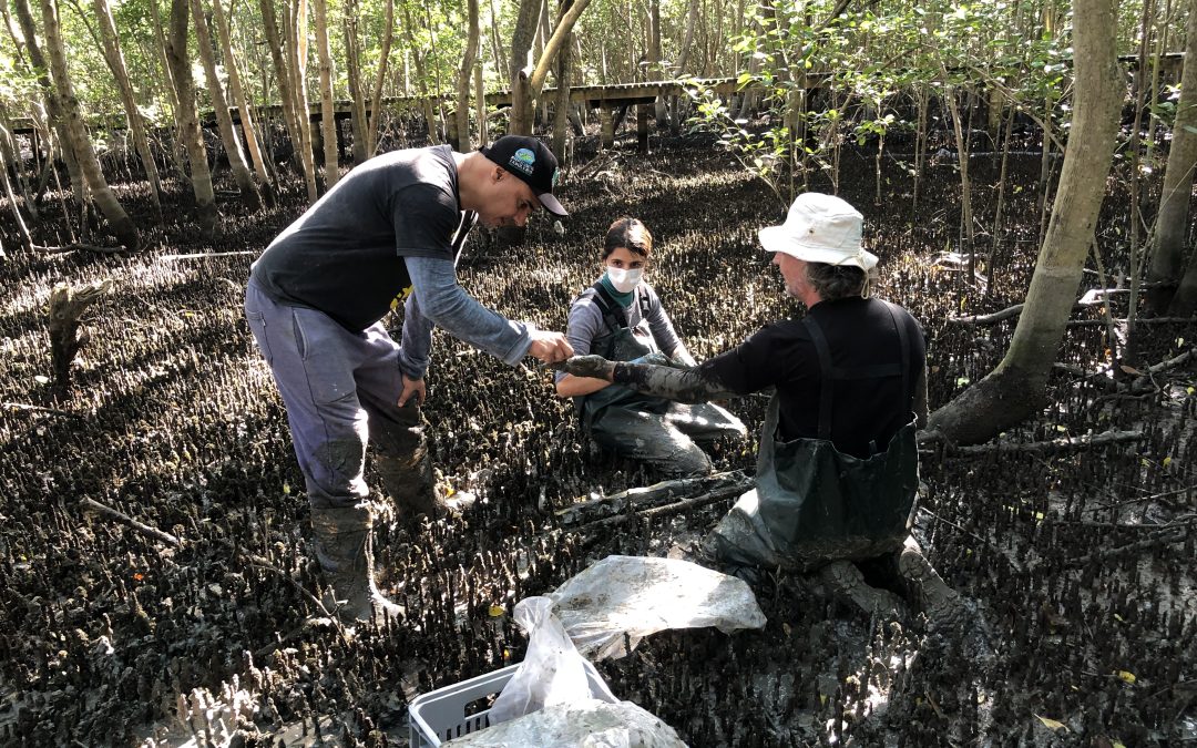 Pesquisa busca contribuir com planejamento territorial da Grande Florianópolis, frente às mudanças climáticas