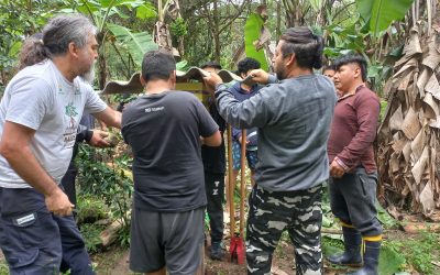 Oficina capacita comunidades indígenas do Morro dos Cavalos para criação de abelhas nativas