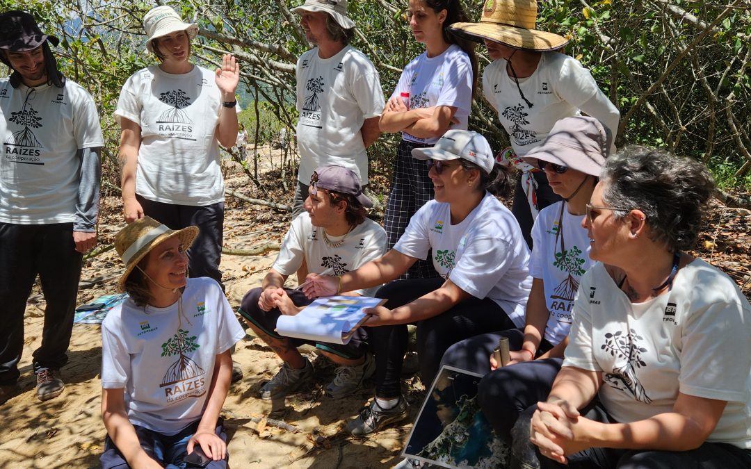 Curso de Ciência Cidadã leva participantes para analisar manguezais da Grande Florianópolis