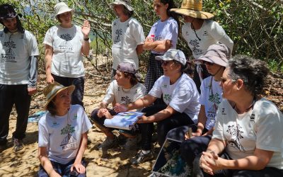 Curso de Ciência Cidadã leva participantes para analisar manguezais da Grande Florianópolis