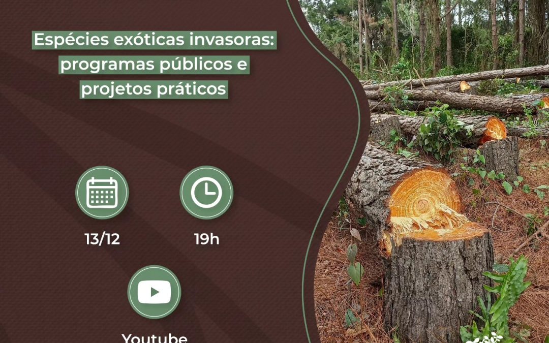 Projetos e programas de controle de espécies exóticas serão tema de webinário