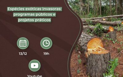 Projetos e programas de controle de espécies exóticas serão tema de webinário
