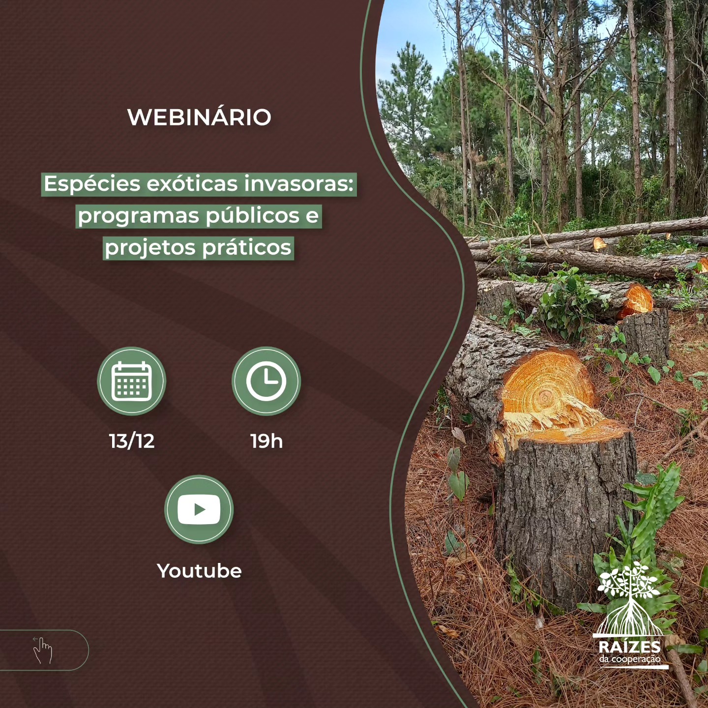 408261335_260939733654146_7539751018445379735_n