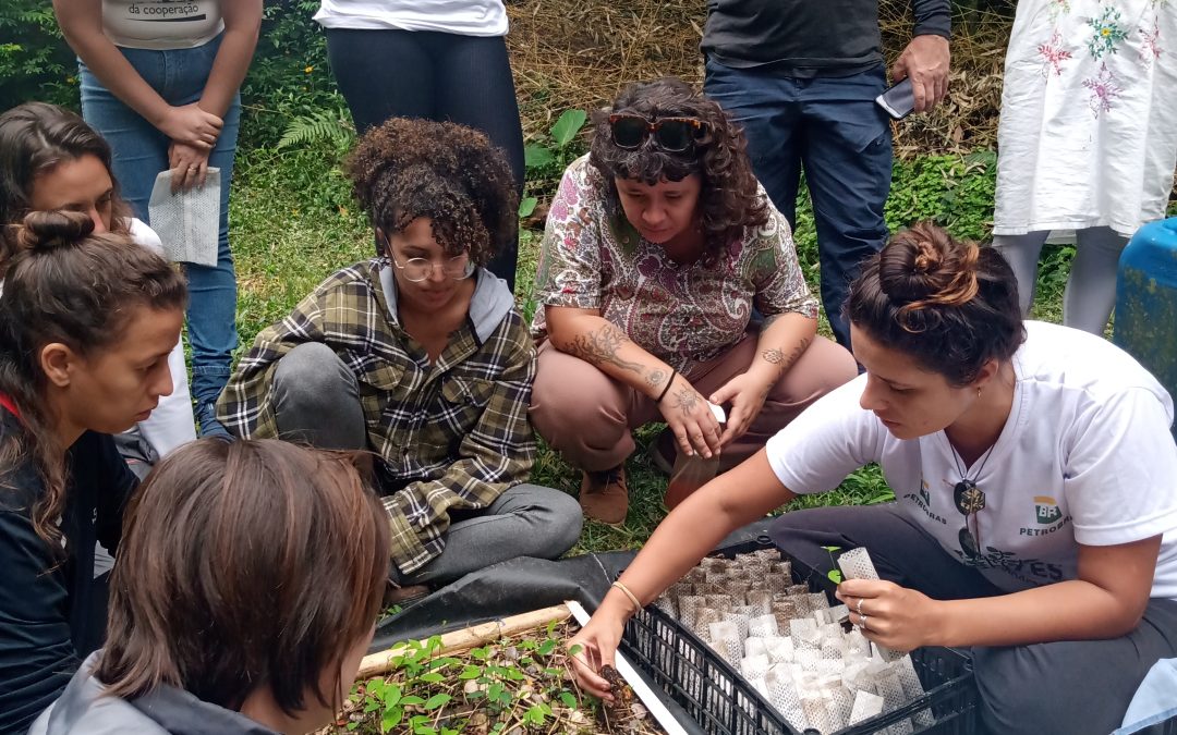 Projeto Raízes da Cooperação realiza oficinas de viveiragem para restauração de manguezais e restingas
