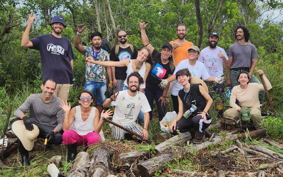 Mutirão de Restauração inicia plantio de vegetação nativa na Baixada do Maciambu, em Palhoça