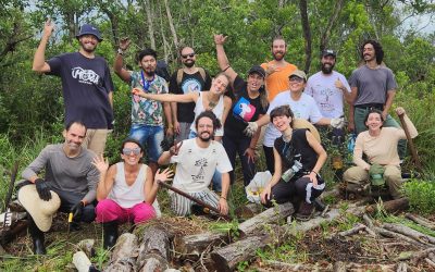 Mutirão de Restauração inicia plantio de vegetação nativa na Baixada do Maciambu, em Palhoça