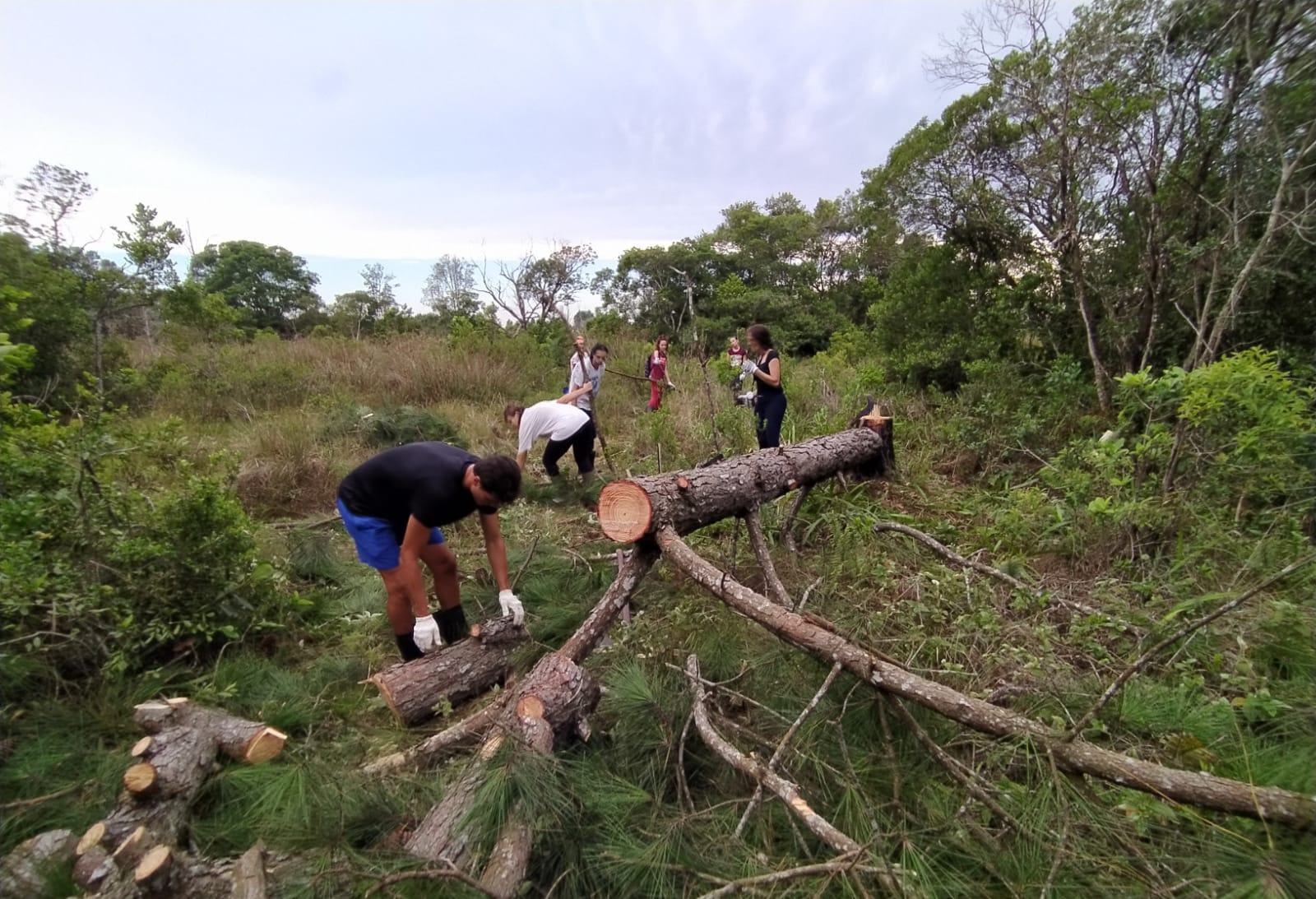 WhatsApp Image 2024-03-06 at 14.03.28 (1)