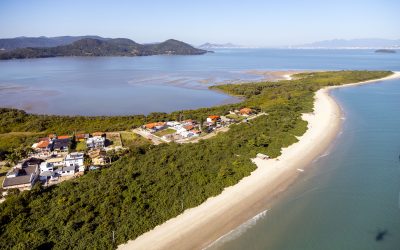 Manguezais minimizam os impactos das mudanças climáticas na Grande Florianópolis