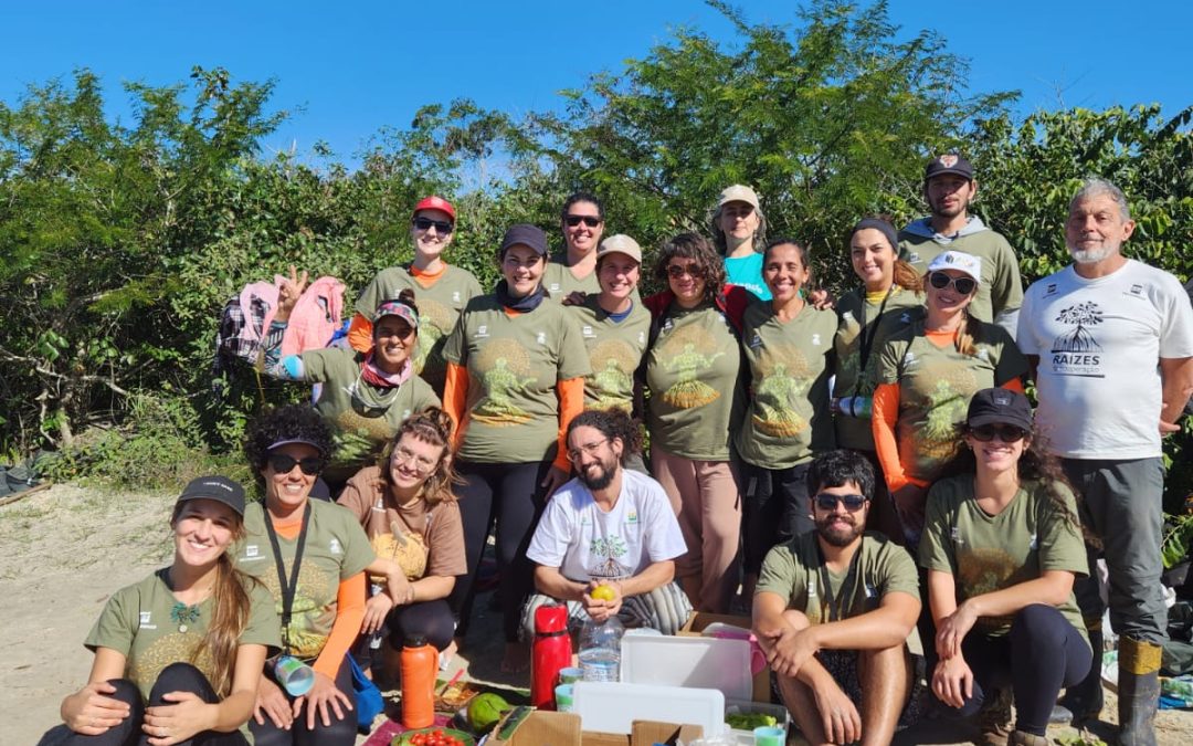 Mutirão comunitário de plantio busca restaurar mangues e restingas de ilha, em Palhoça