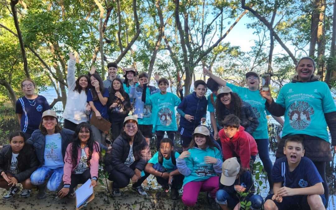 Escola cria viveiro de mudas de mangue para restaurar mata ciliar de rio em Florianópolis