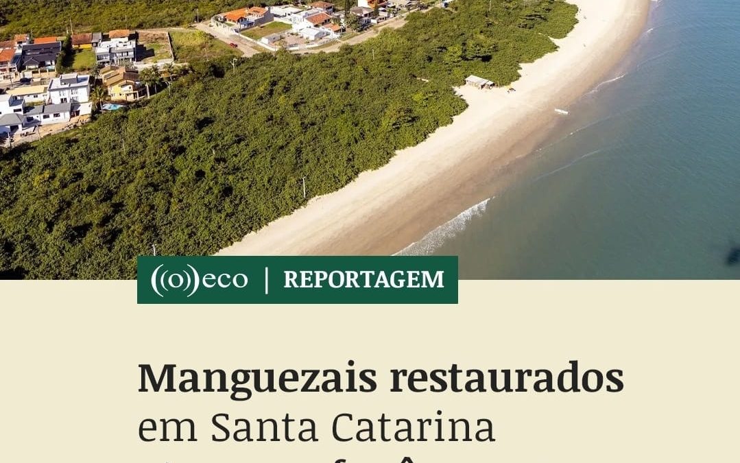 Projeto Raízes da Cooperação é destaque na mídia