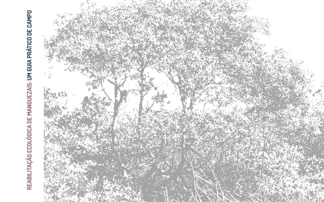 Raízes da Cooperação lançará ebook inédito sobre reabilitação de manguezais